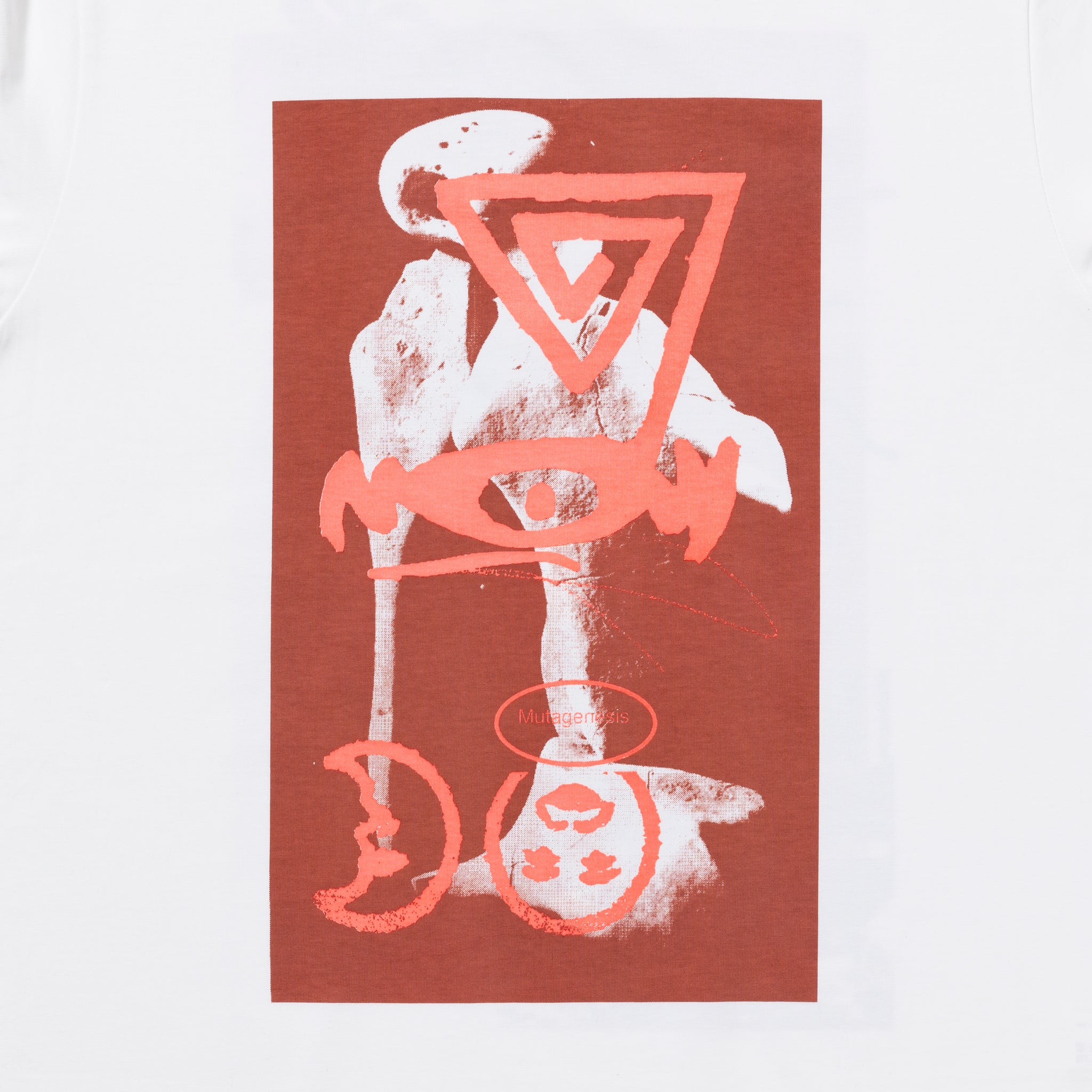 MISHA HOLLENBACH - 'THERE’S NO EVIDENCE THAT THEY WERE ATTACHED TO THE STALK' S/S TEE