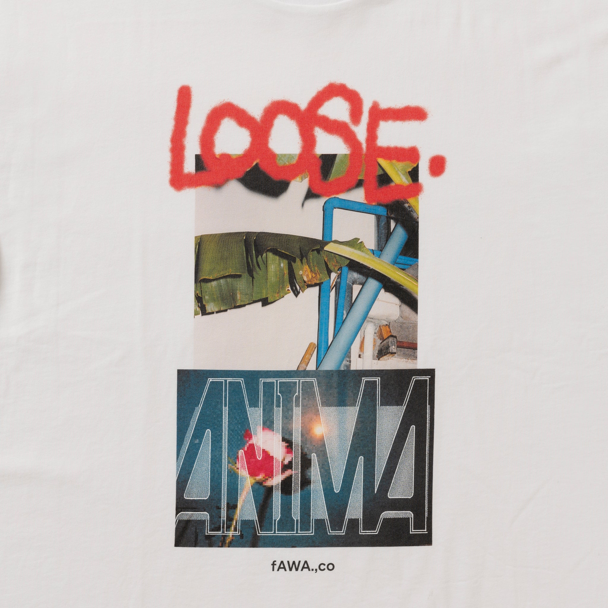 LS24JS011CA – loosejoints 